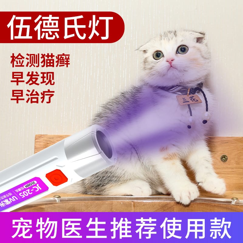 Handheld LED UV Money Detector – Portable Fake Currency Checker for Banknotes